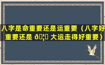 八字是命重要还是运重要（八字好重要还是 🦁 大运走得好重要）